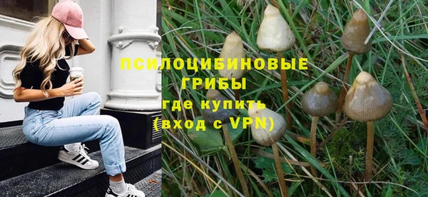 соль ск Абдулино
