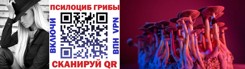 Псилоцибиновые грибы Magic Shrooms  OMG зеркало  Ялуторовск  цена наркотик 