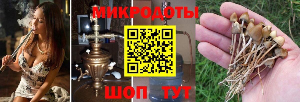 Ялуторовск  Псилоцибиновые грибы ЛСД  Вход с VPN  Галлюциногенные грибы MAGIC MUSHROOMS 